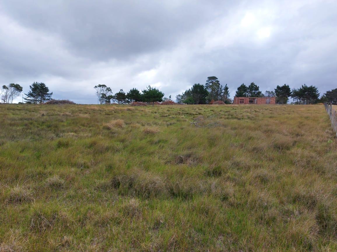 Image 13