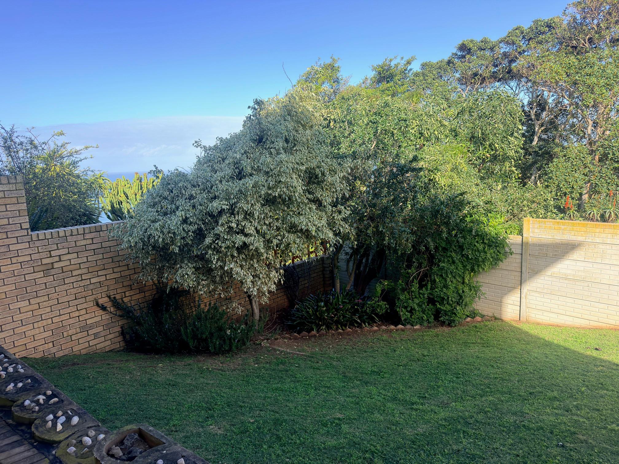 Image 32