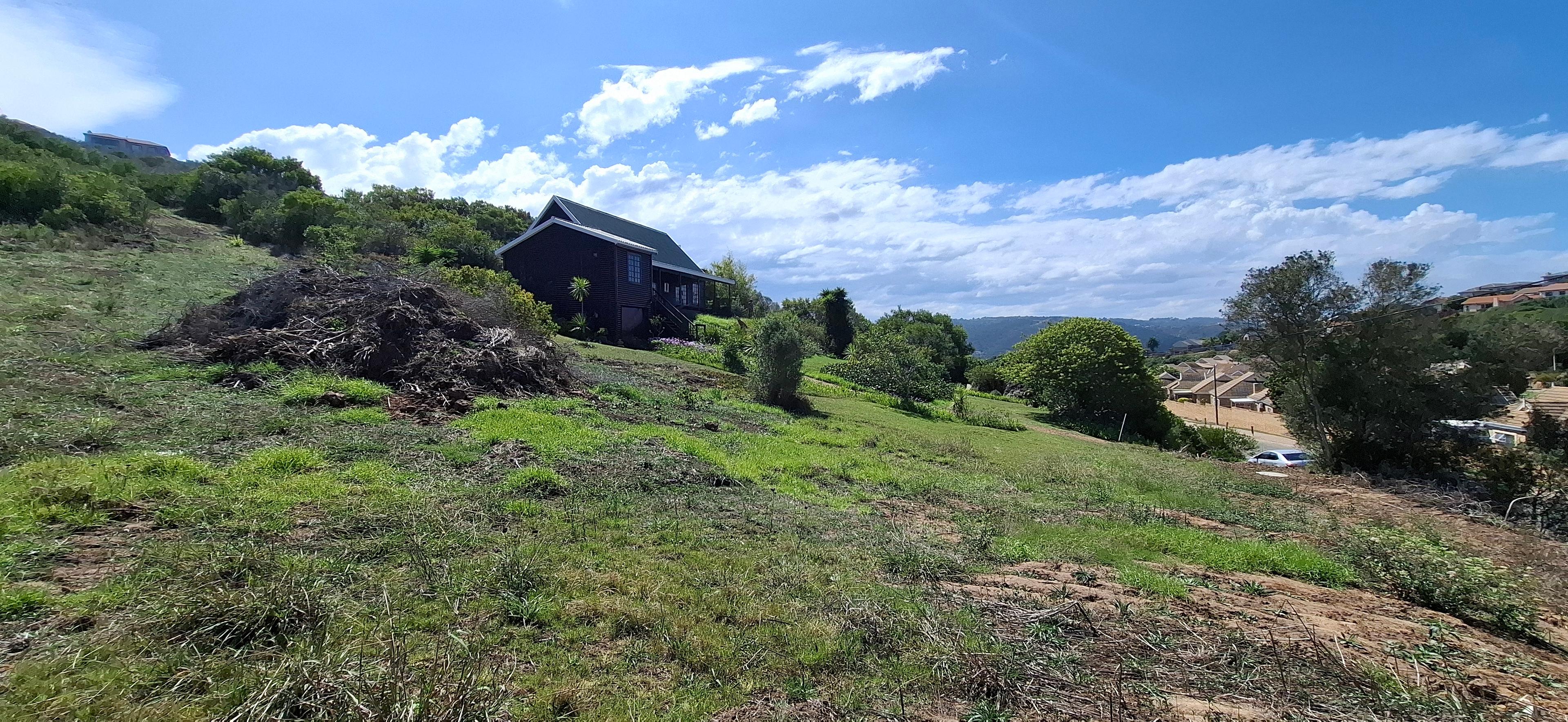 Image 5 of 6