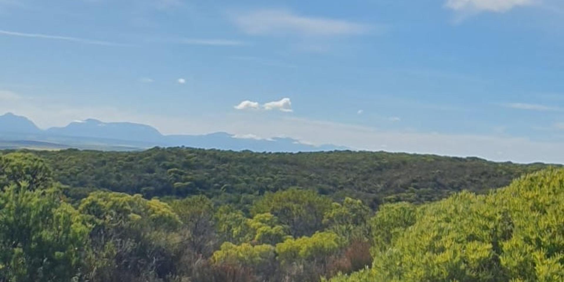 Image 4 of 6