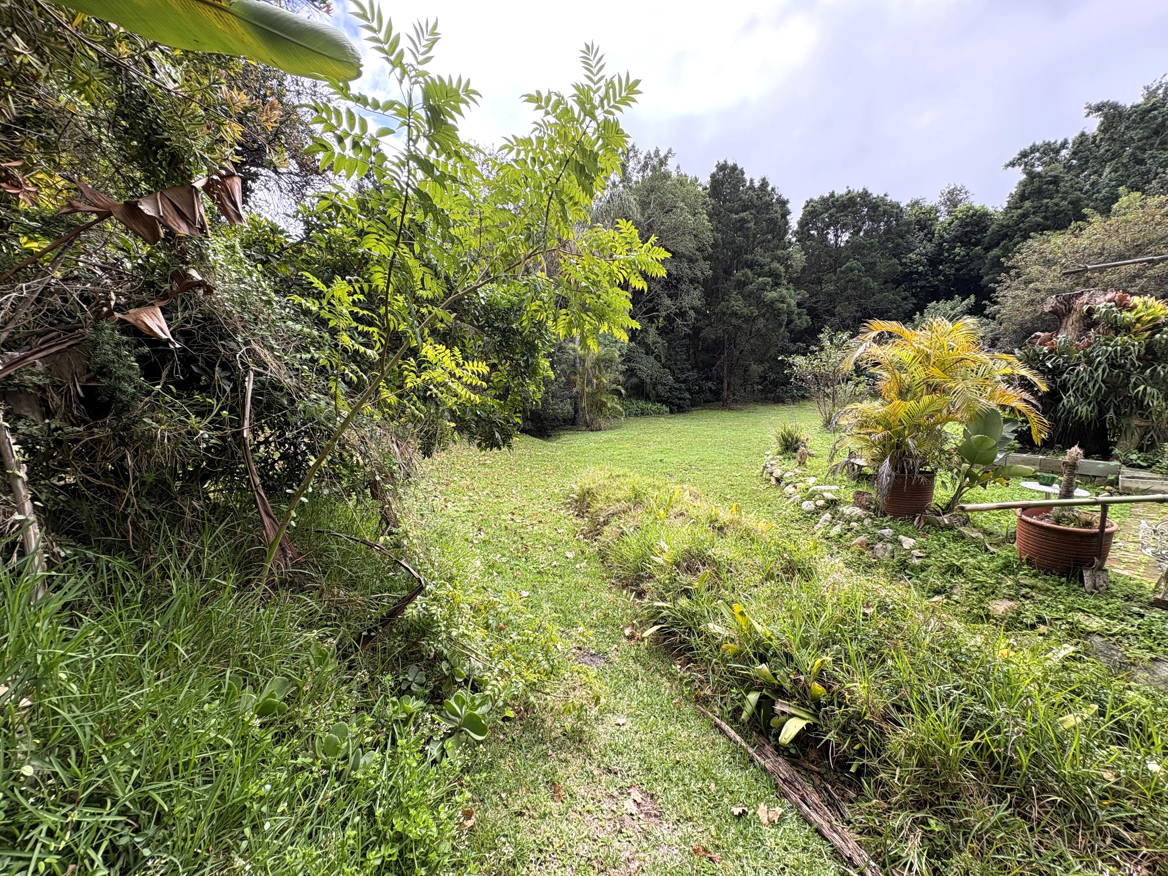 Image 22