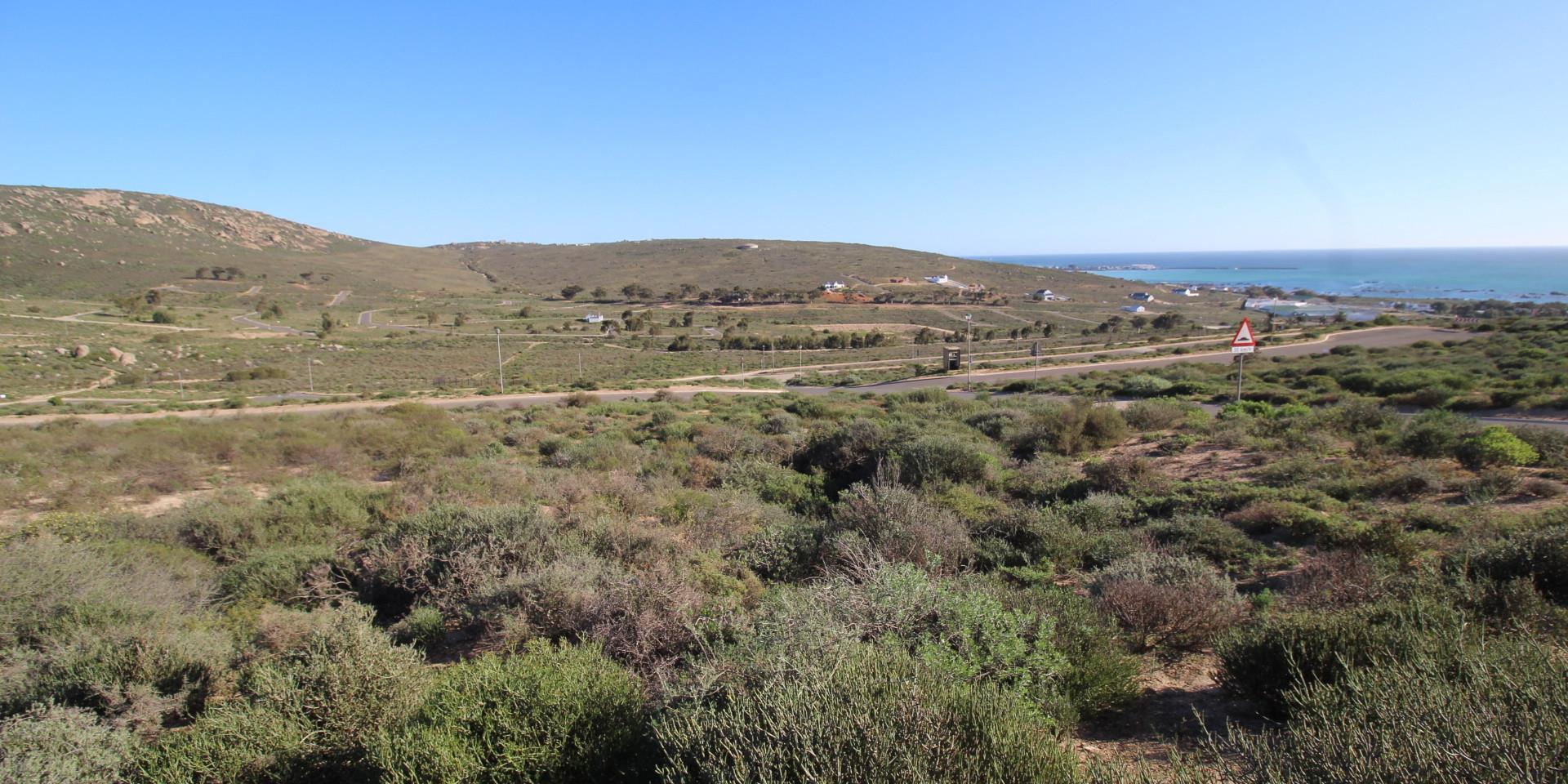 Image 4 of 6