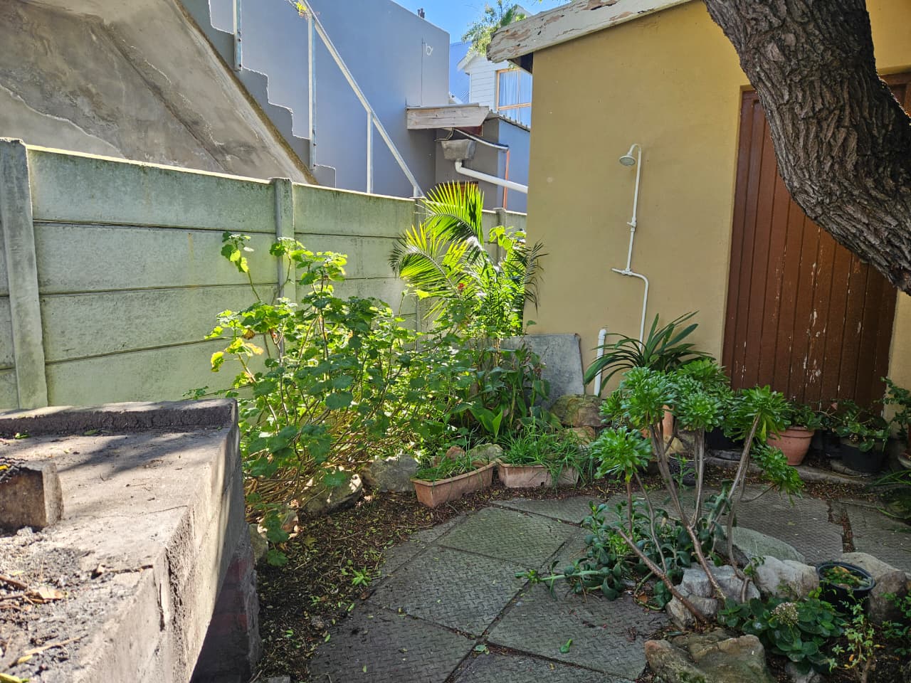 Image 24