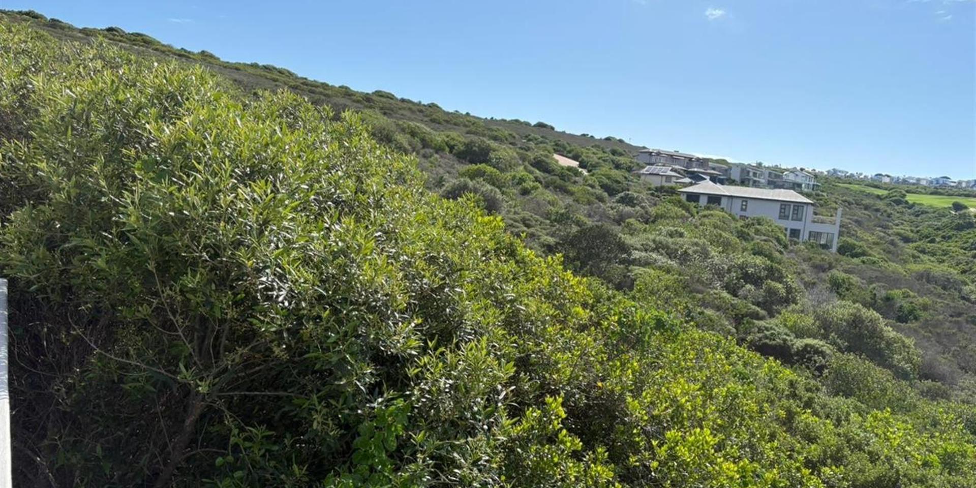 Image 5 of 6