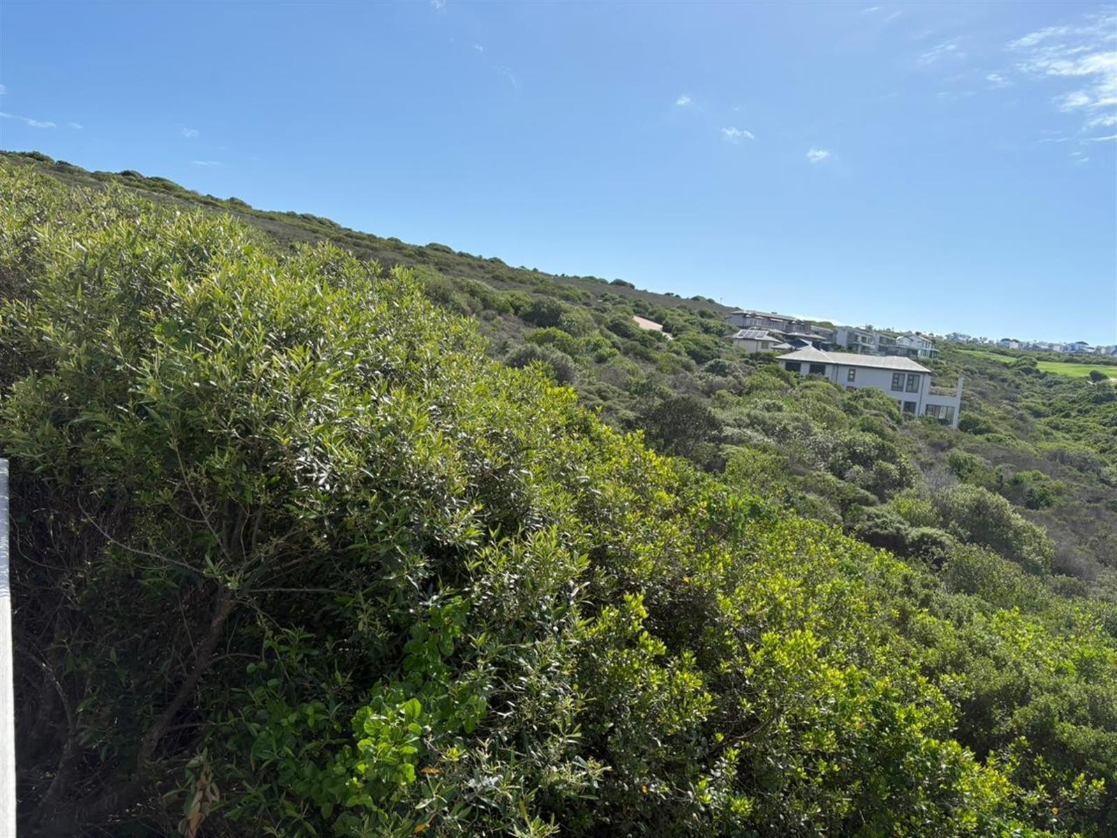 Image 5 of 6