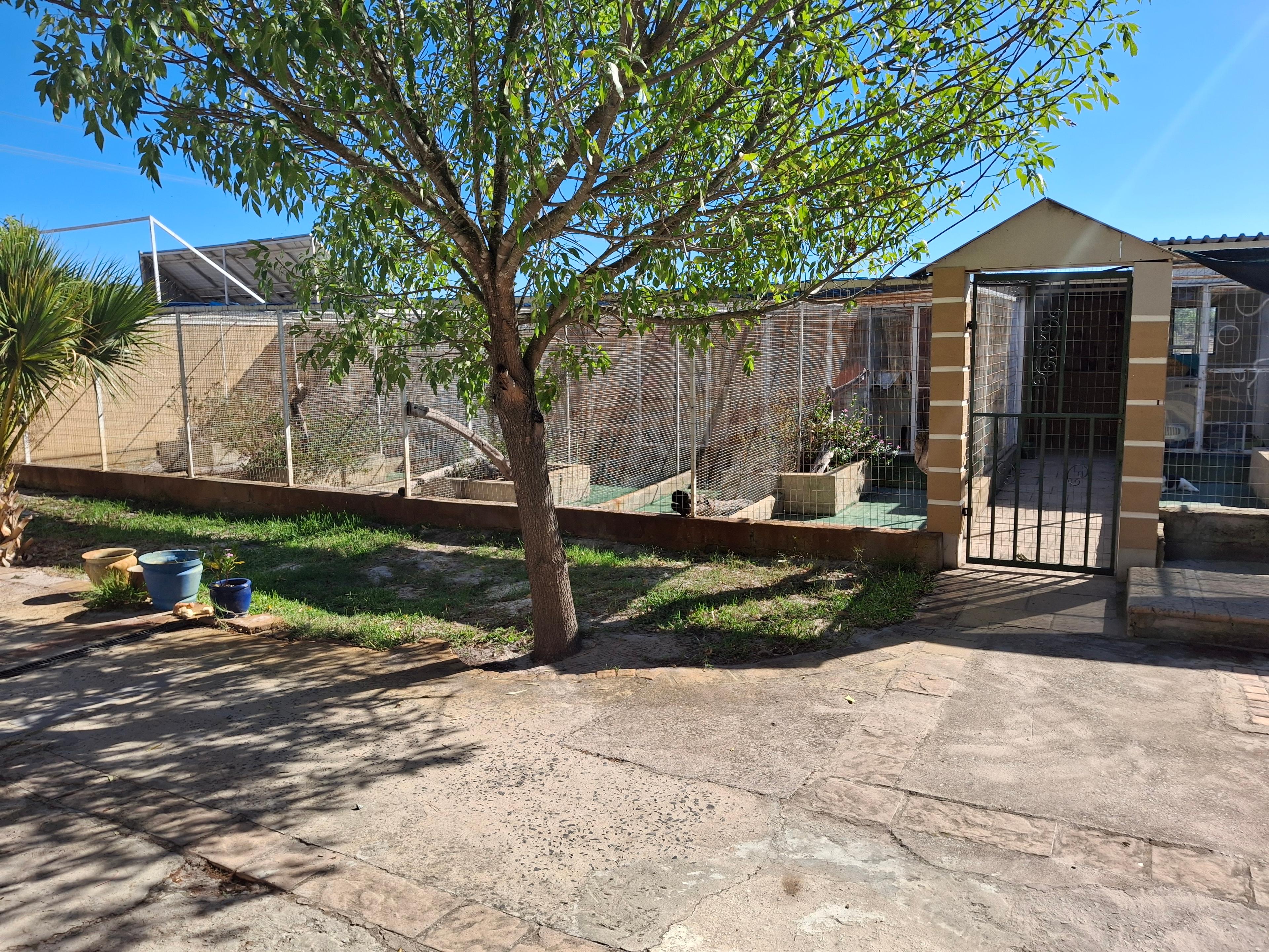 Image 30