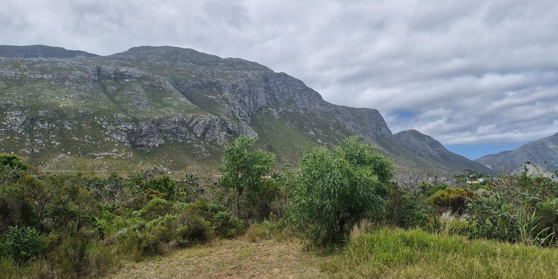 Image 5 of 6
