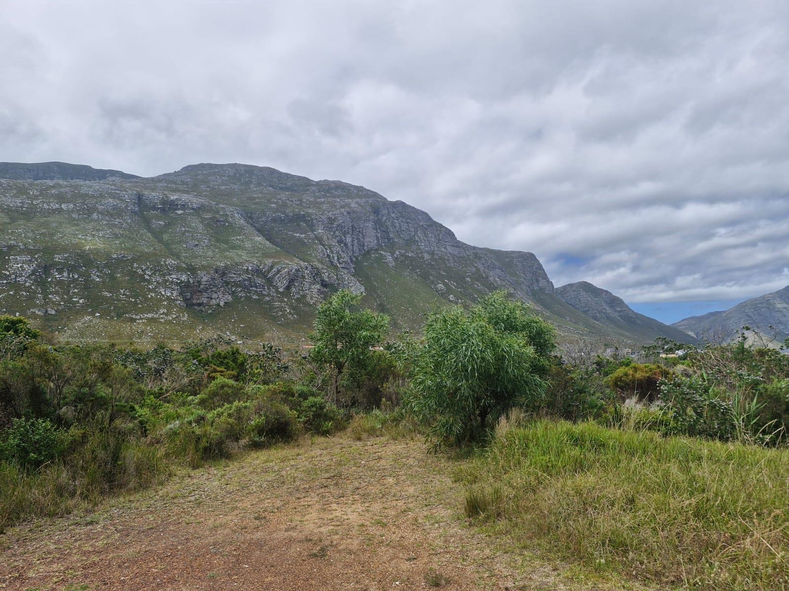 Image 5 of 6