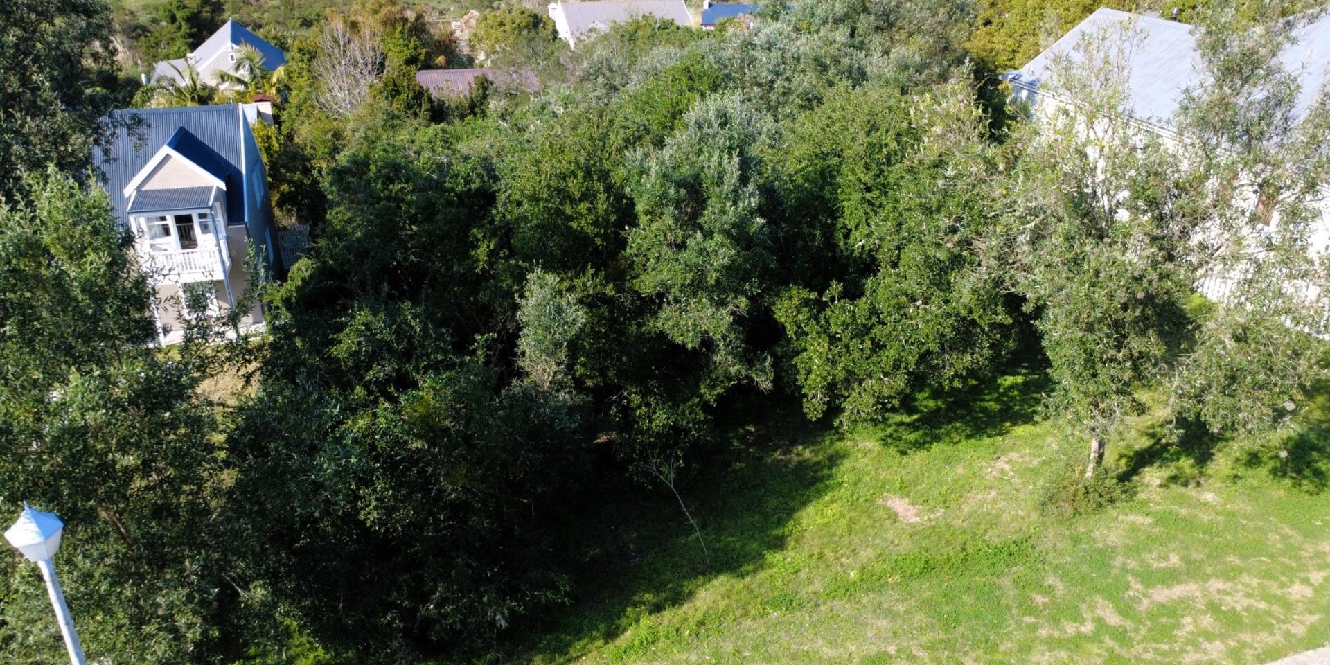 Image 4 of 6