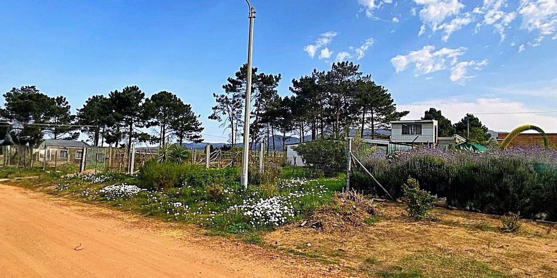 Image 2 of 6