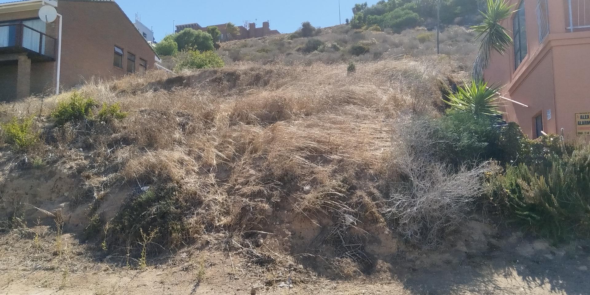 Image 3 of 6
