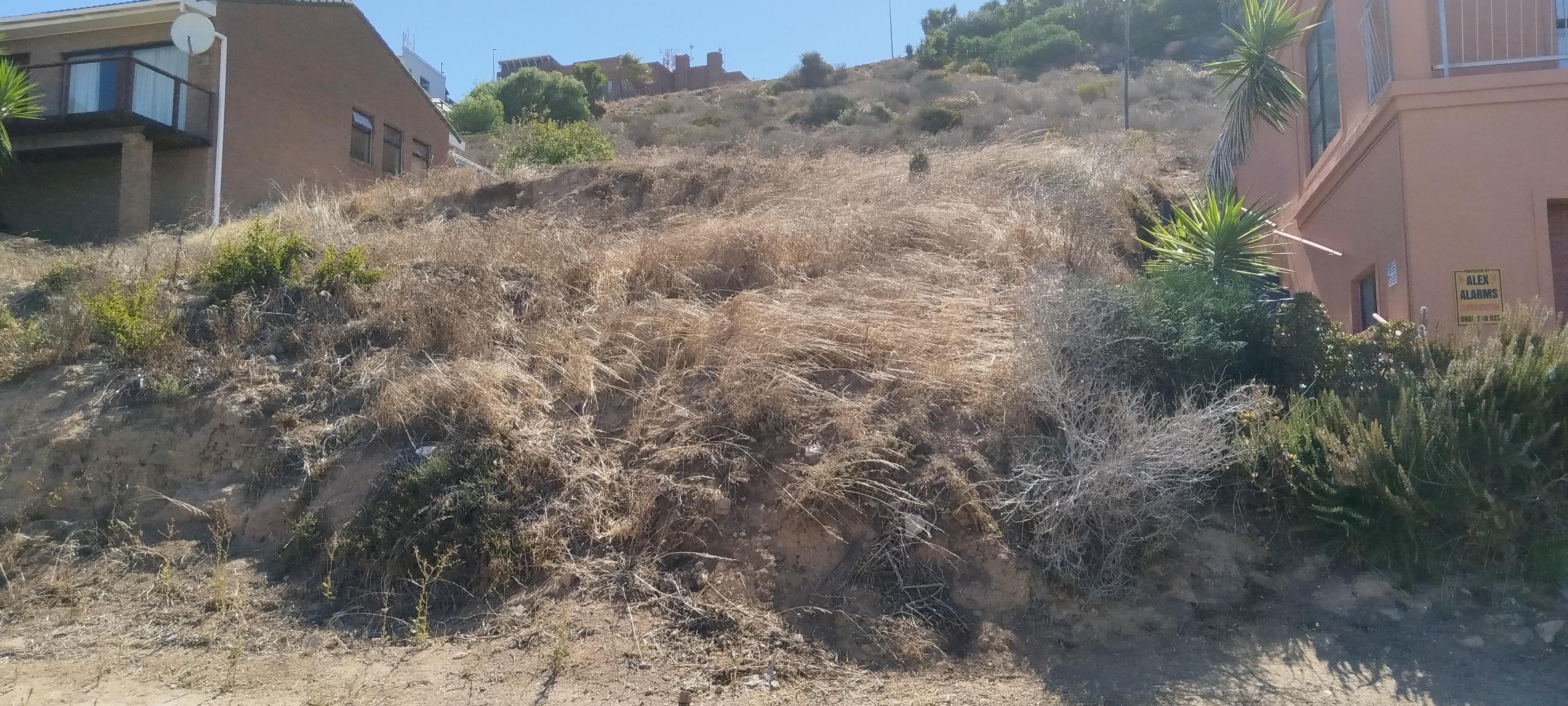 Image 3 of 6