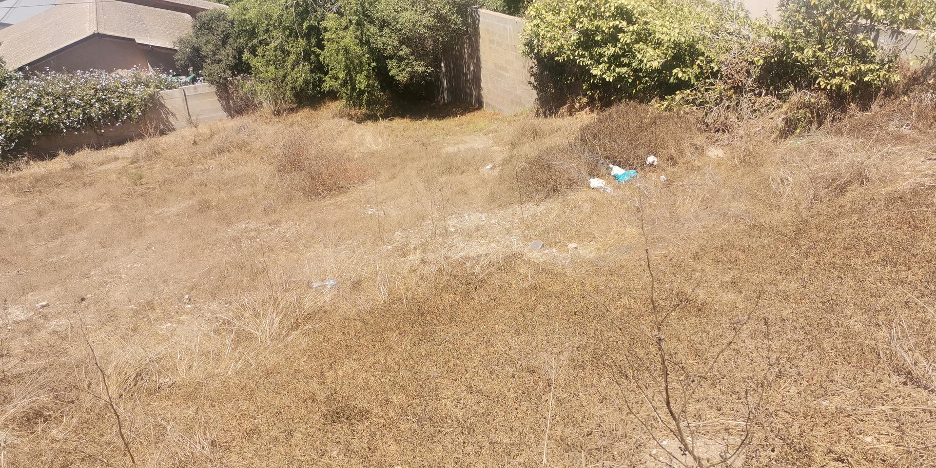Image 5 of 6