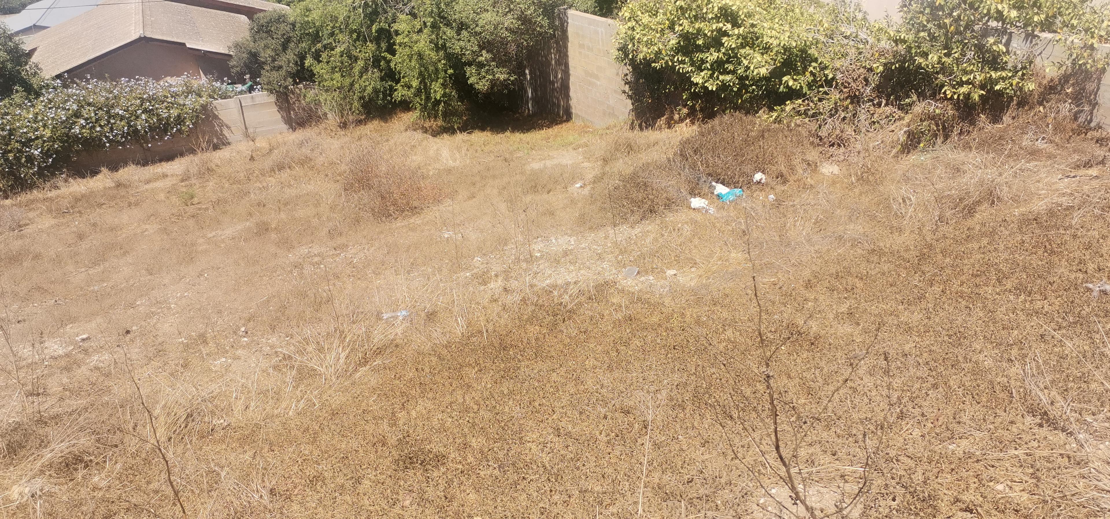 Image 5 of 6