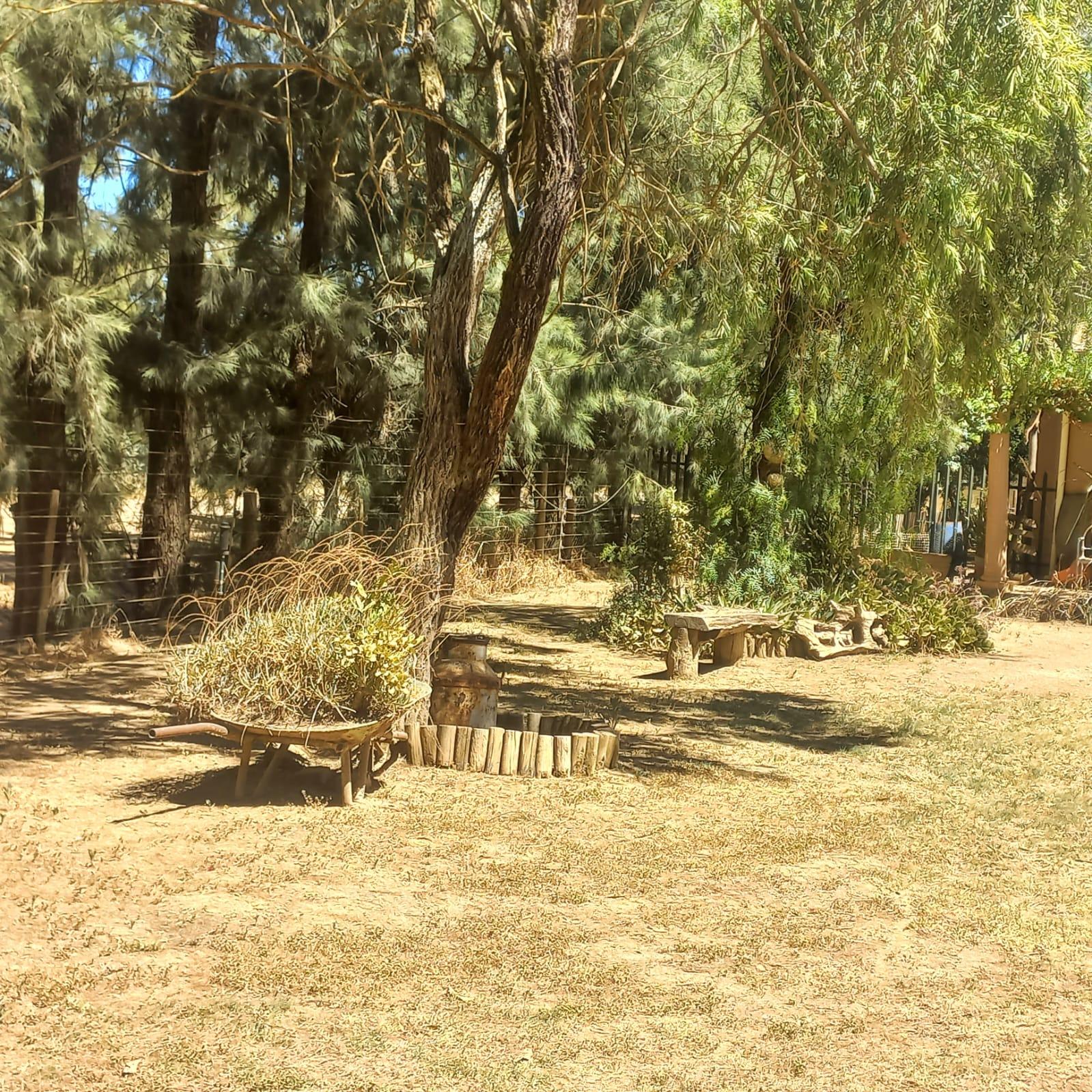 Image 19