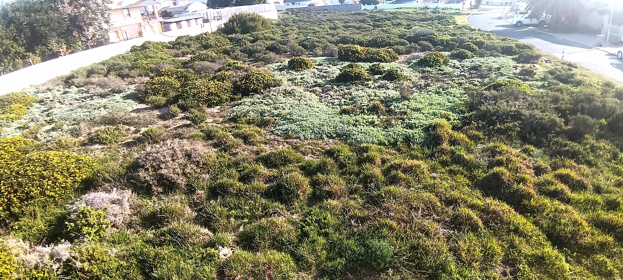 Image 9