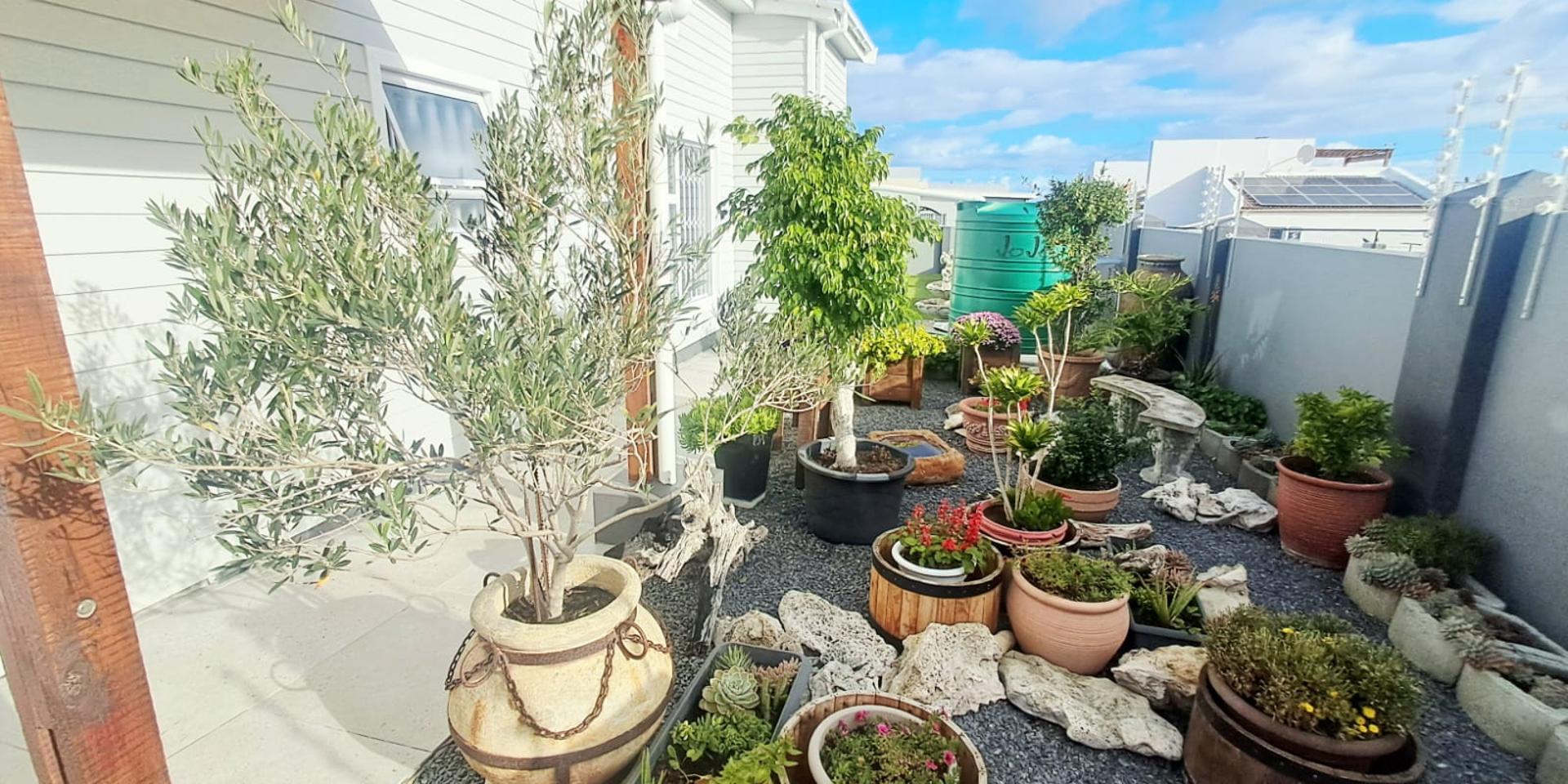 Image 4 of 6