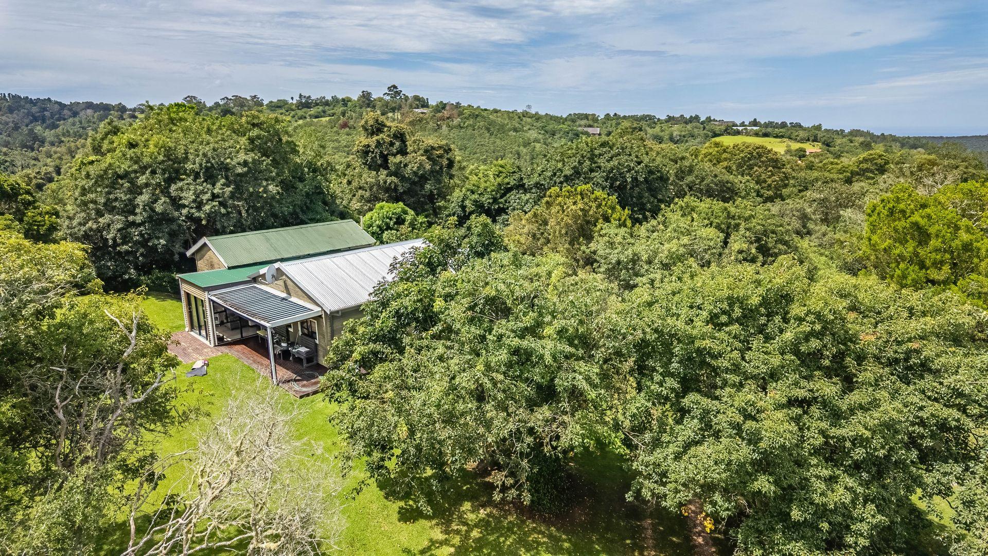 Image 4 of 6