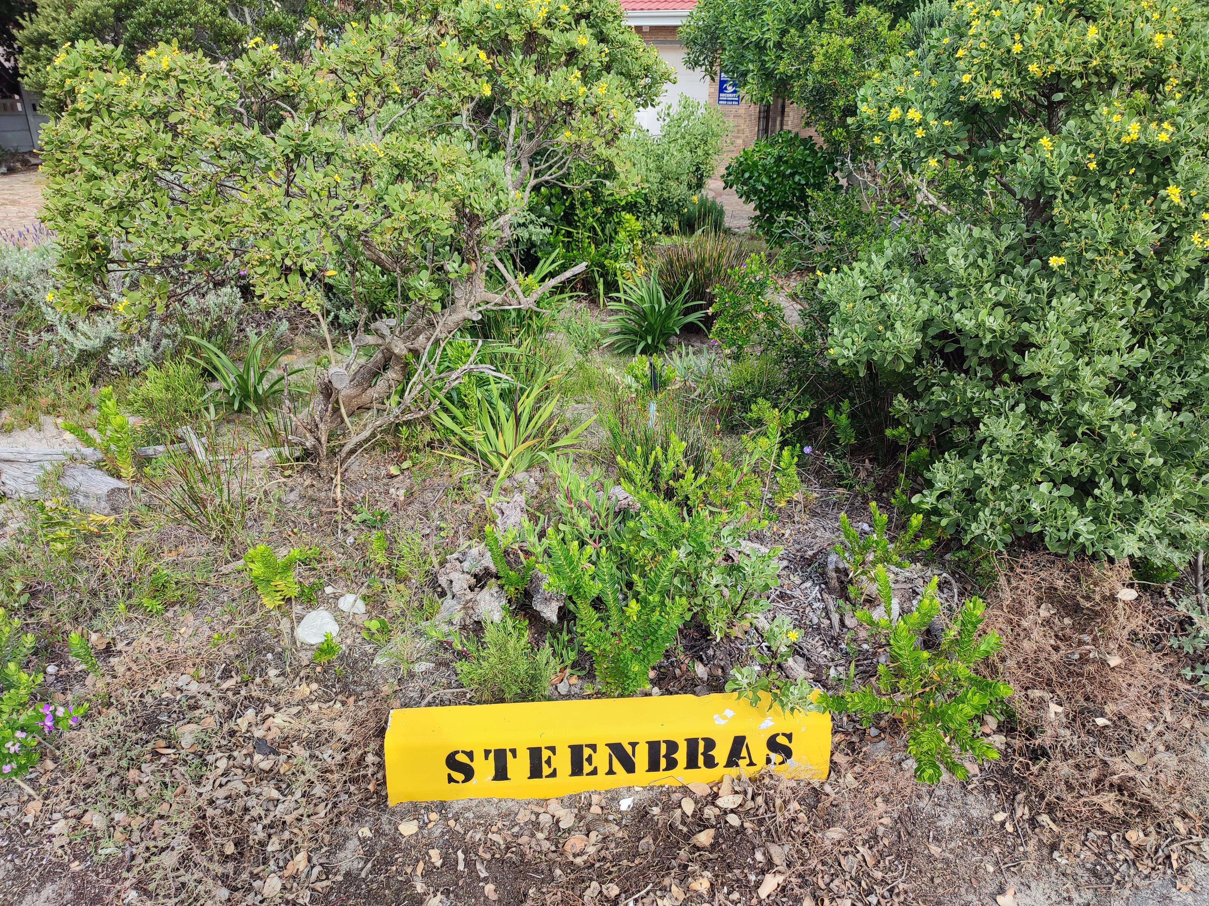Image 4 of 6