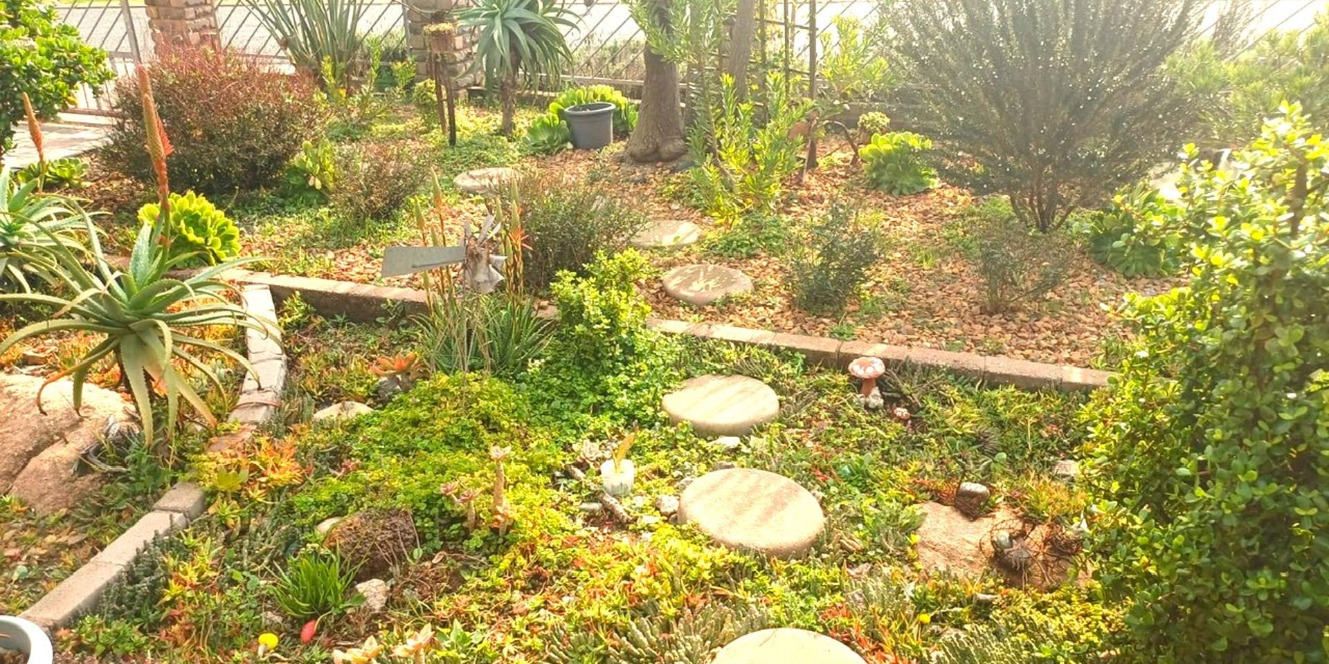 Image 3 of 6