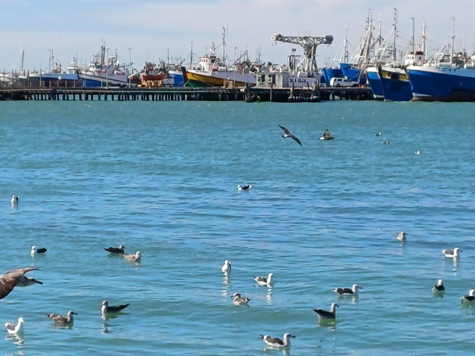Image 11