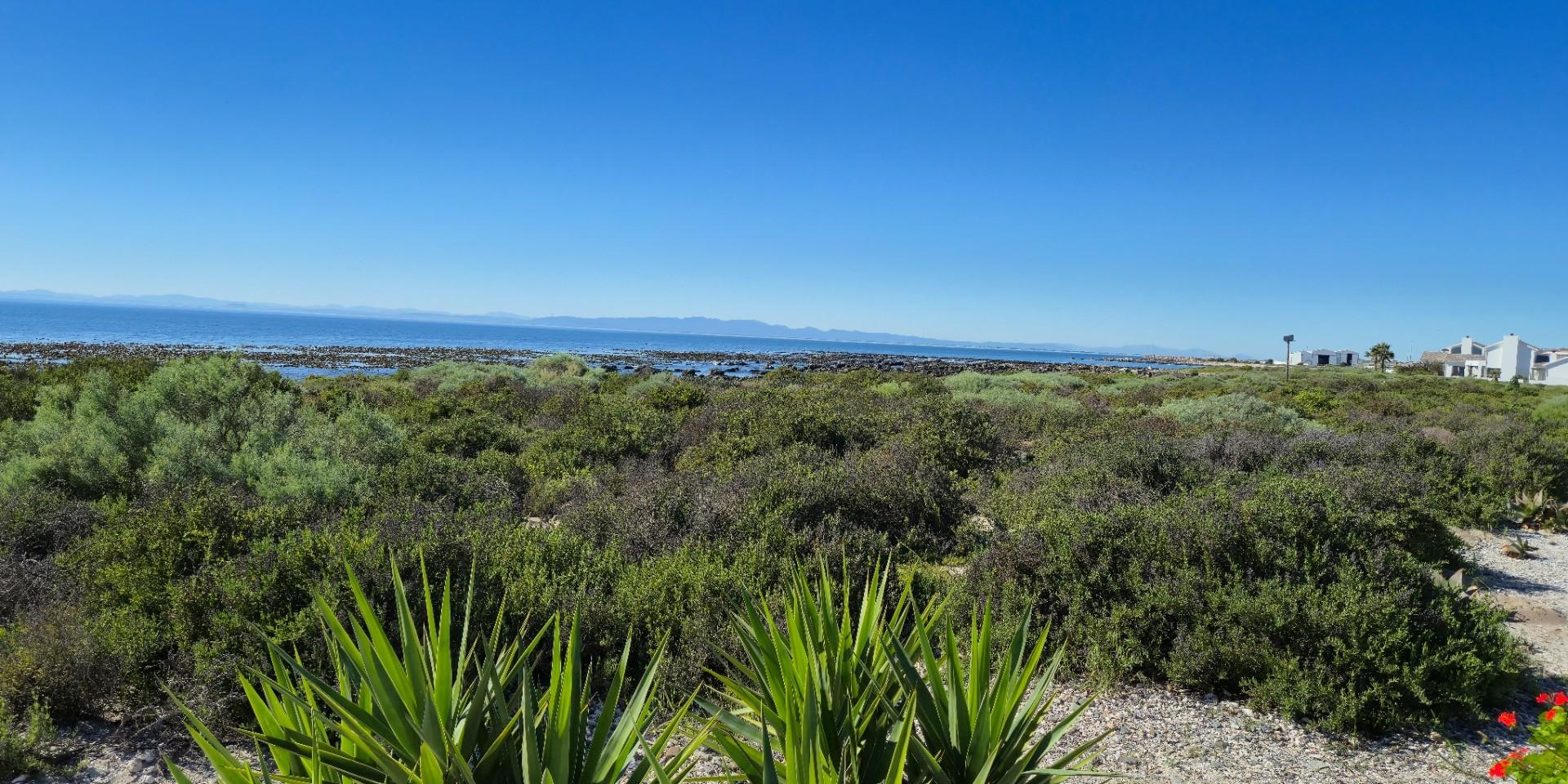 Image 5 of 6