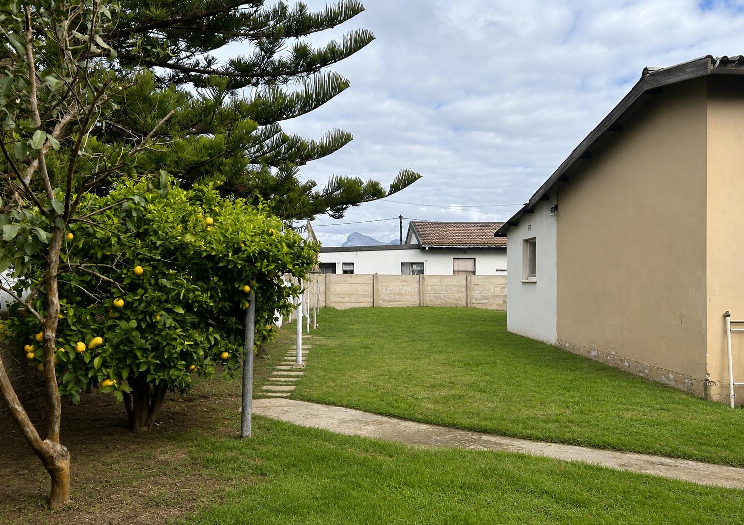 Image 13