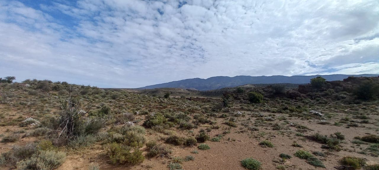 Image 15