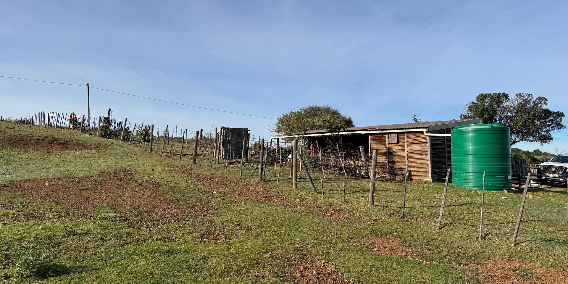Image 2 of 6