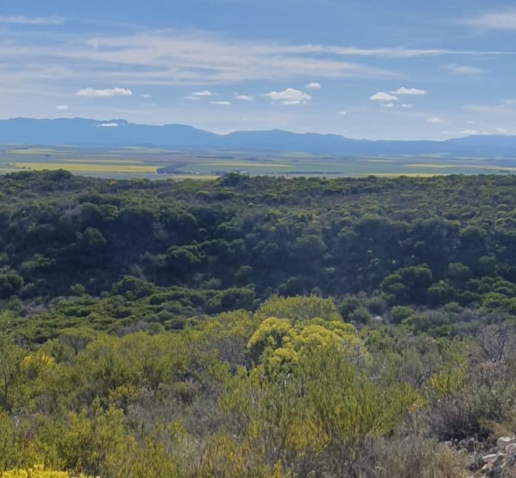 Main property image
