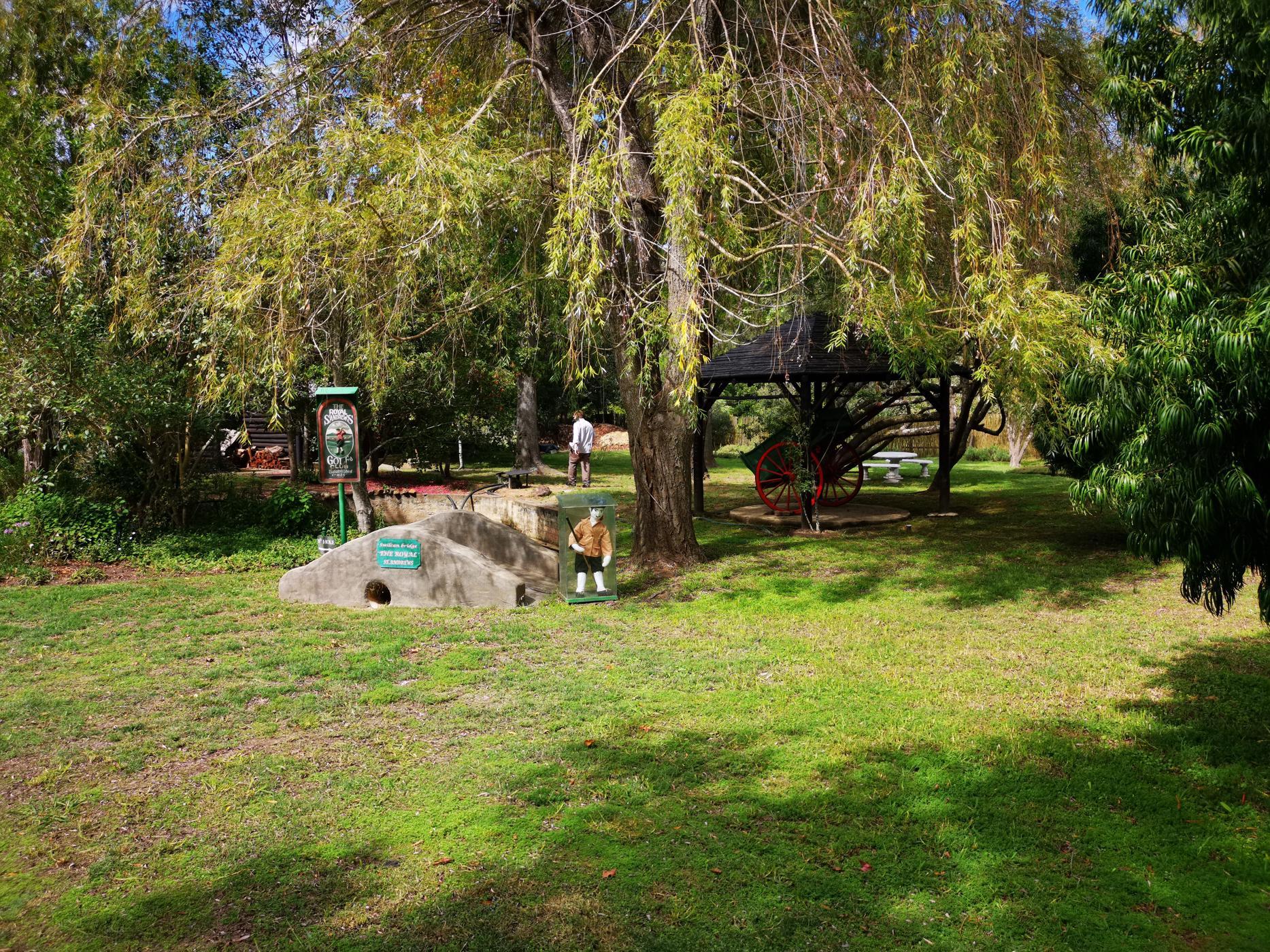 Image 15
