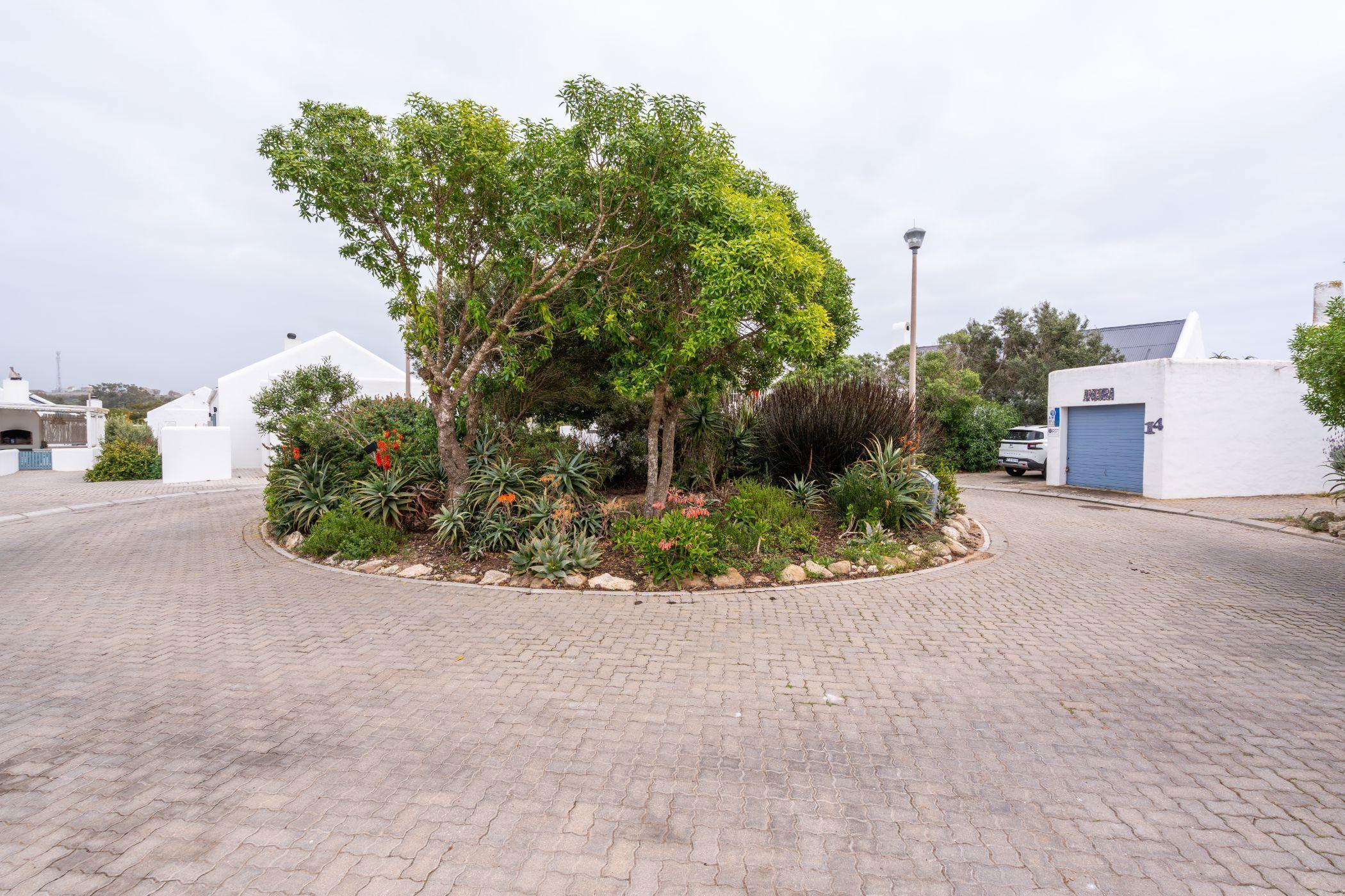 Image 29