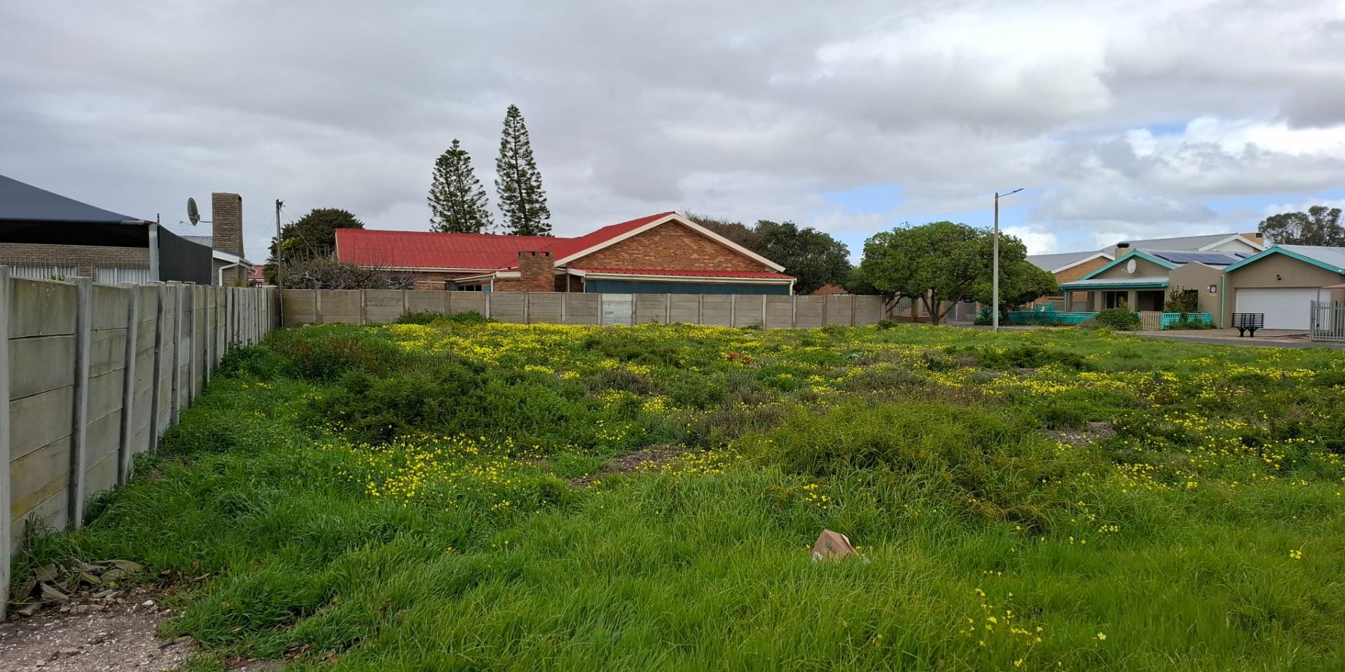 Image 3 of 6