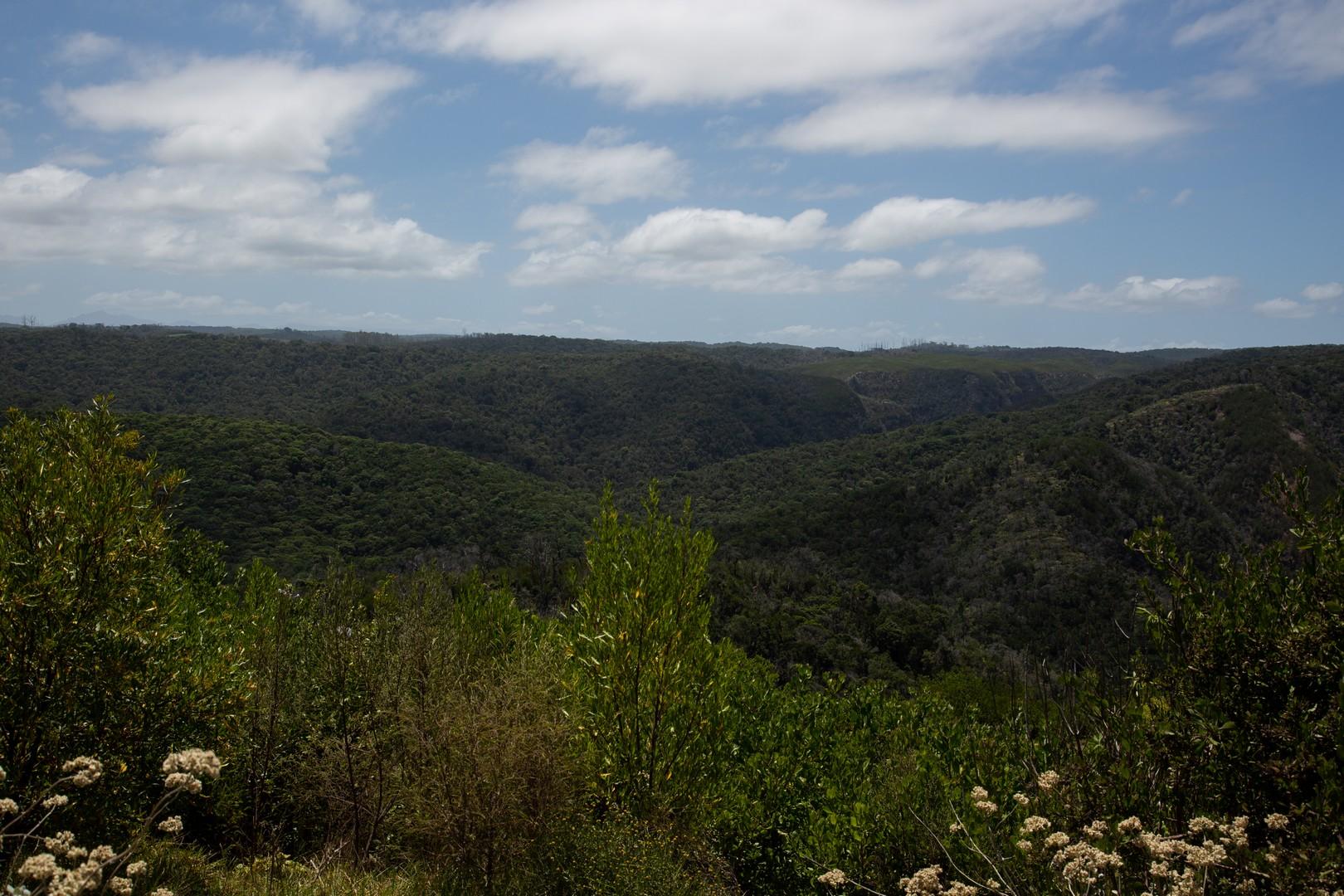 Image 15