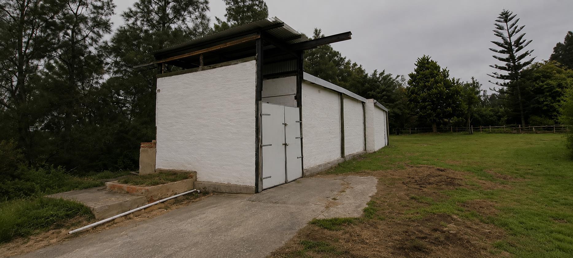Image 41