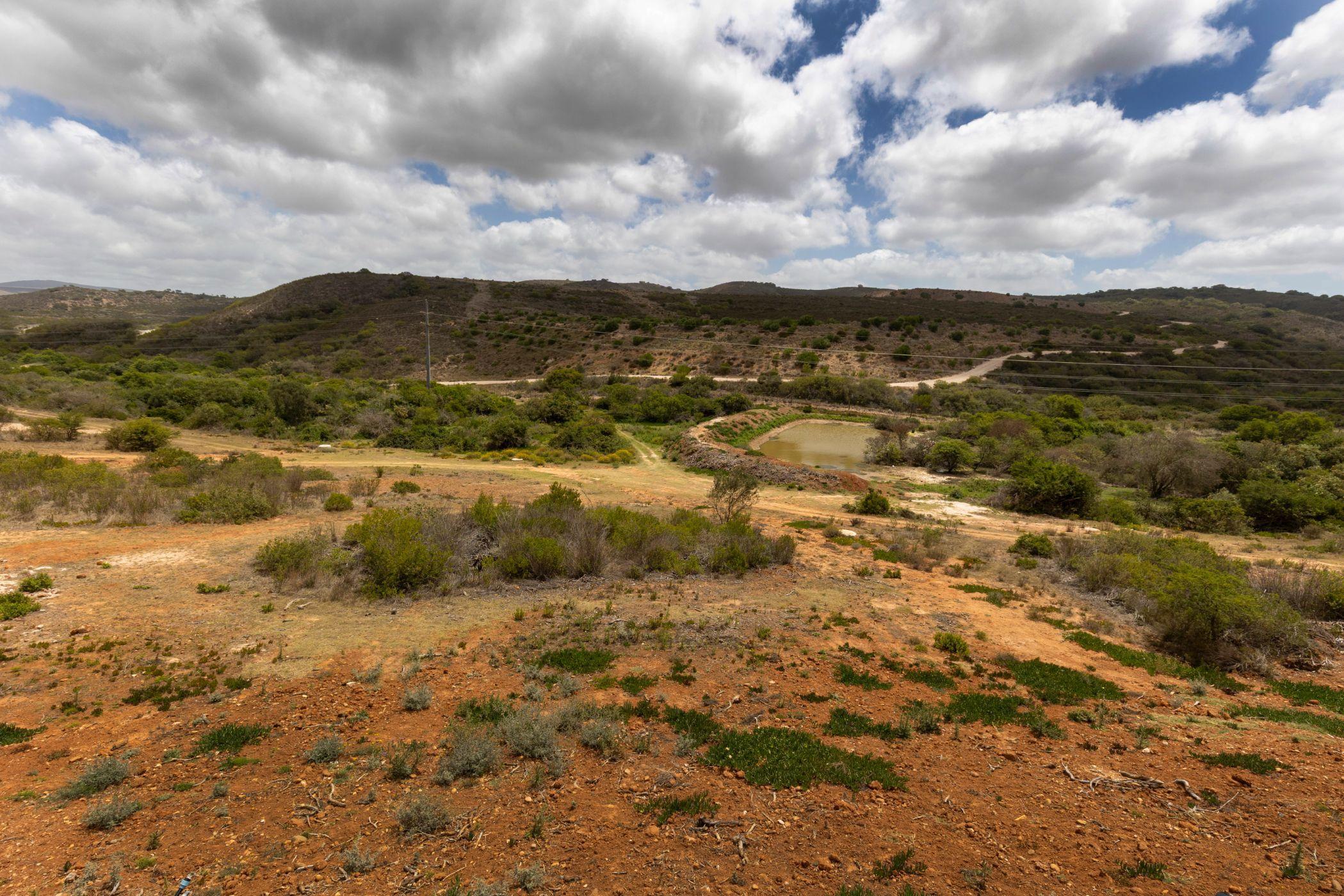 Image 12