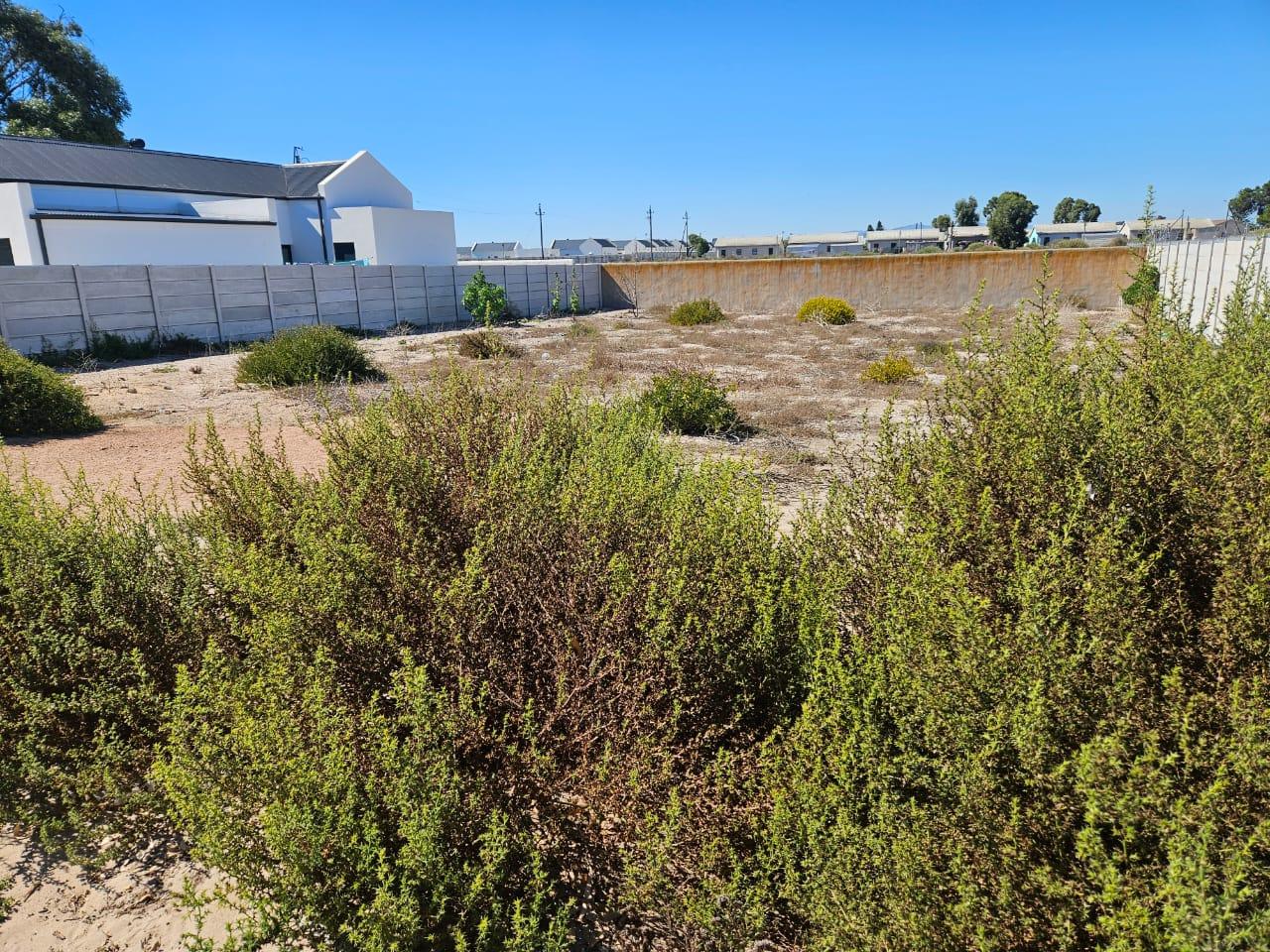 Image 5 of 6