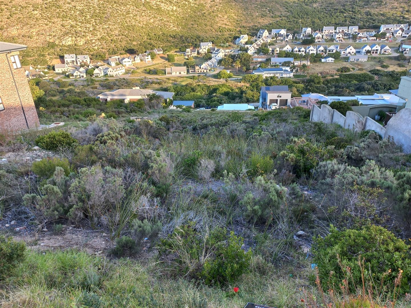 Image 13