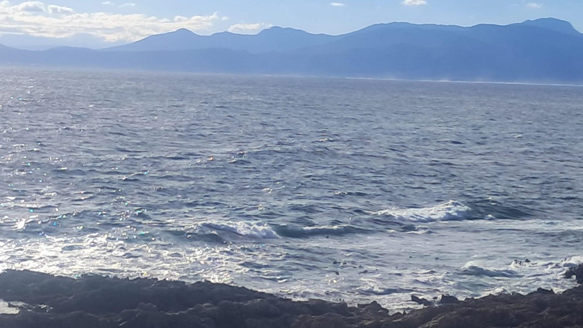 Image 14