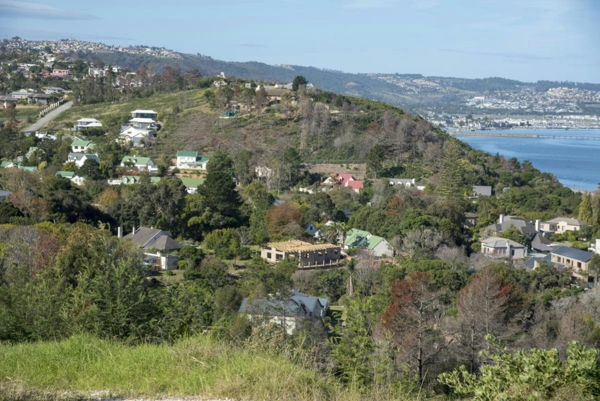 Image 15
