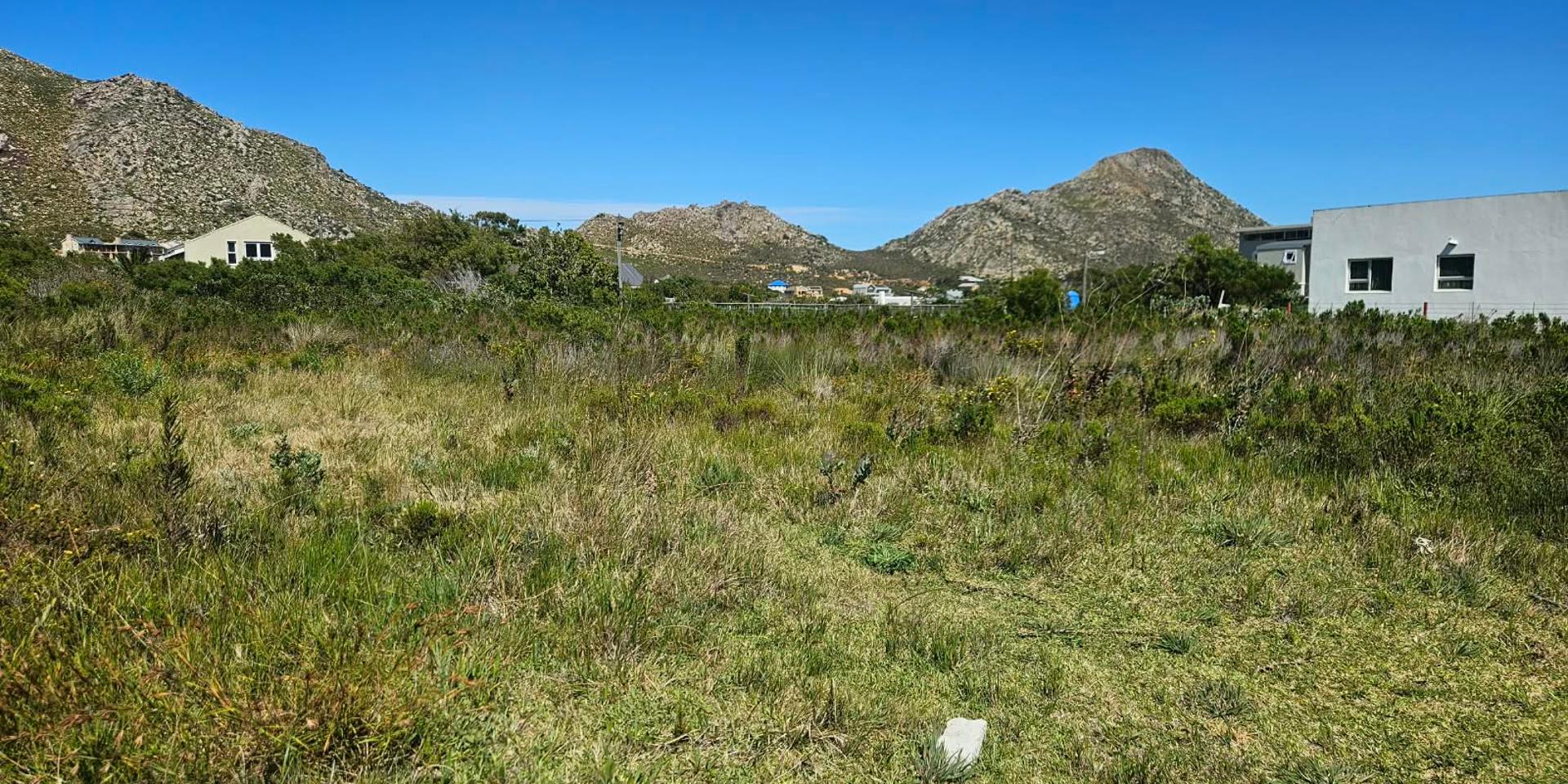 Image 3 of 6