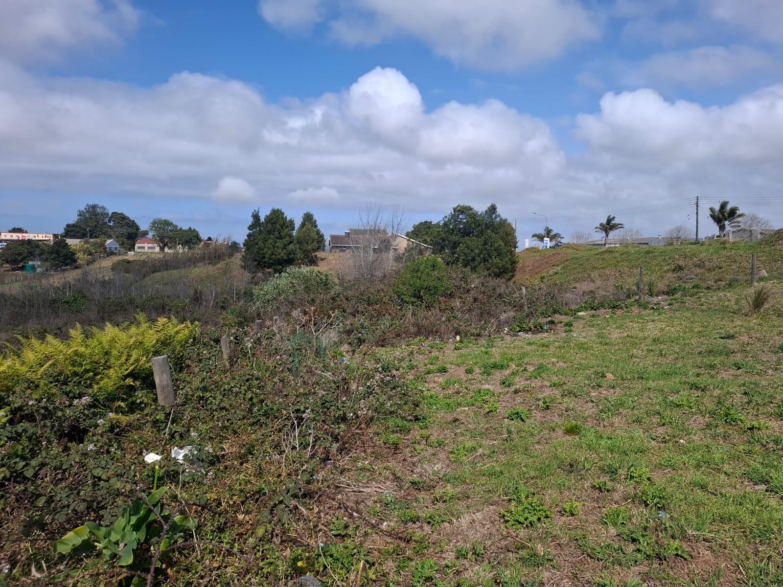Image 5 of 6