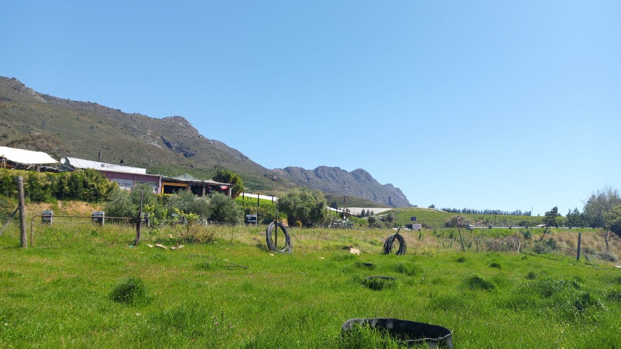Image 3 of 6