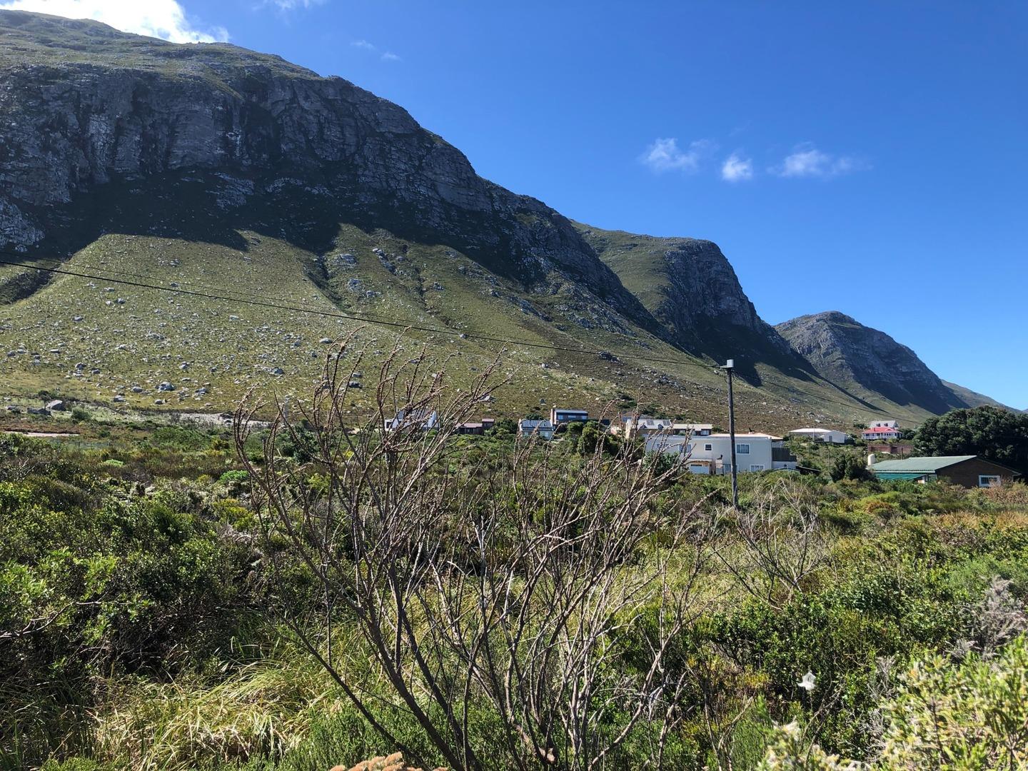 Image 4 of 6