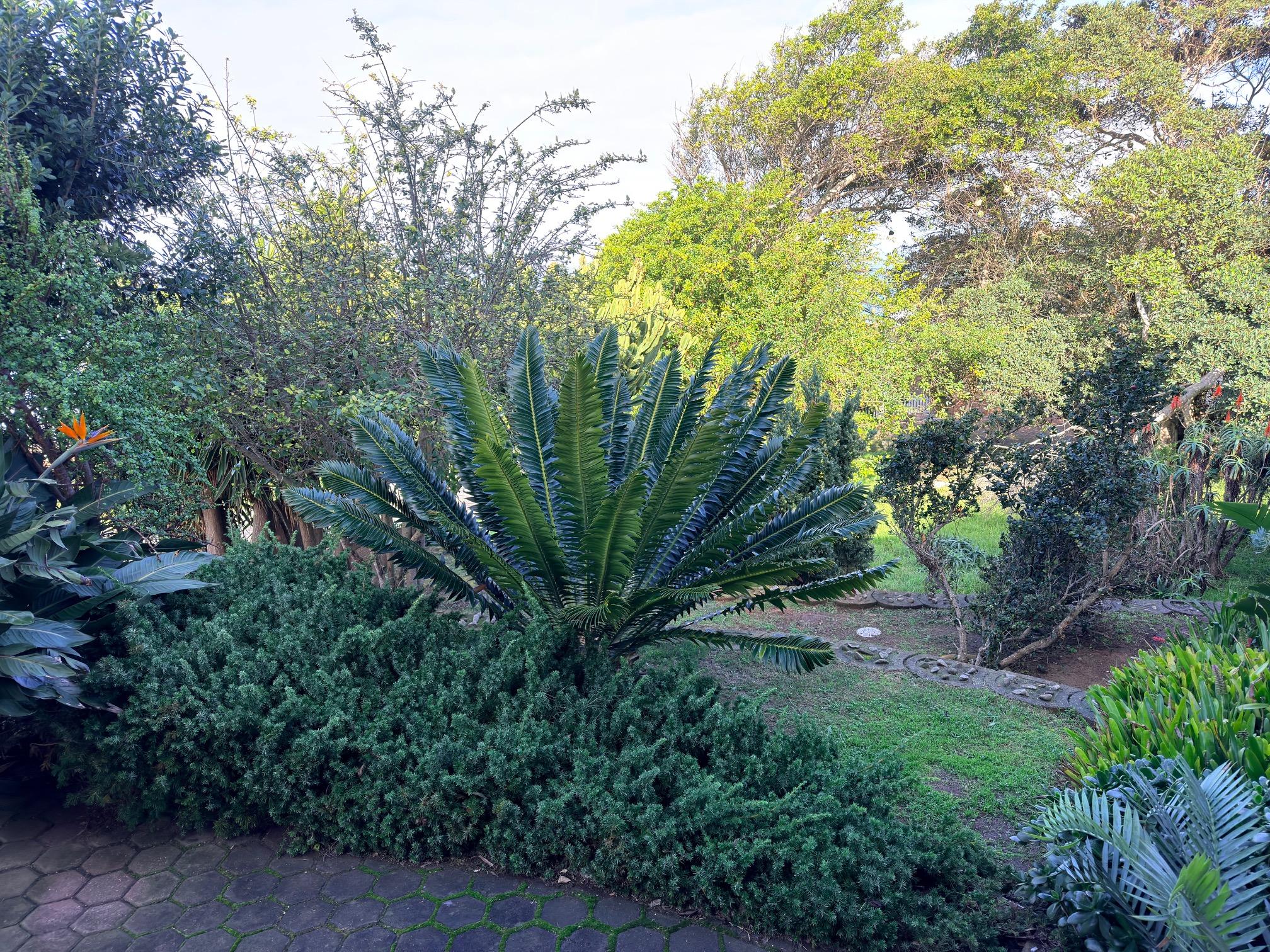 Image 3 of 6