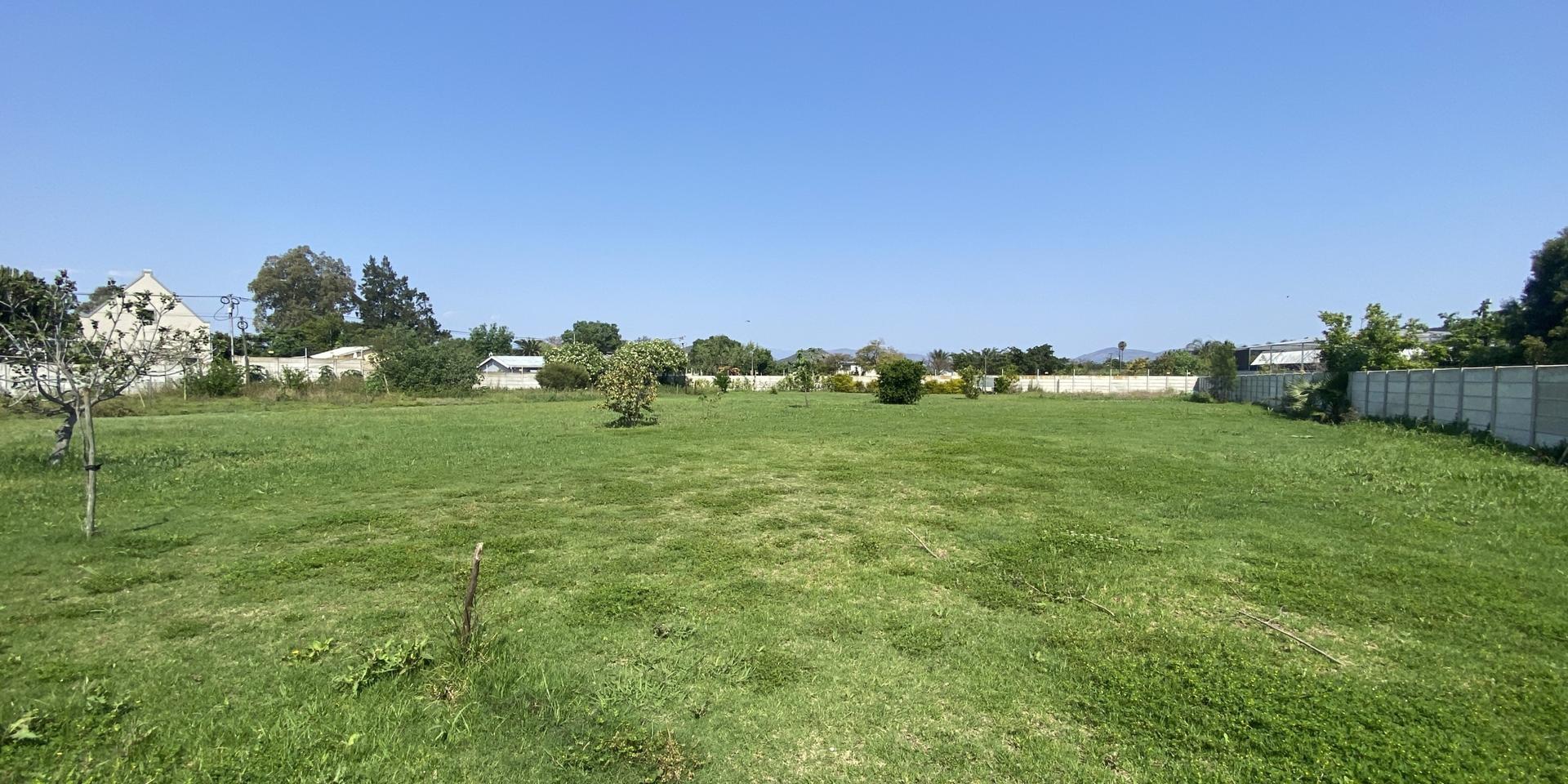 Image 4 of 6