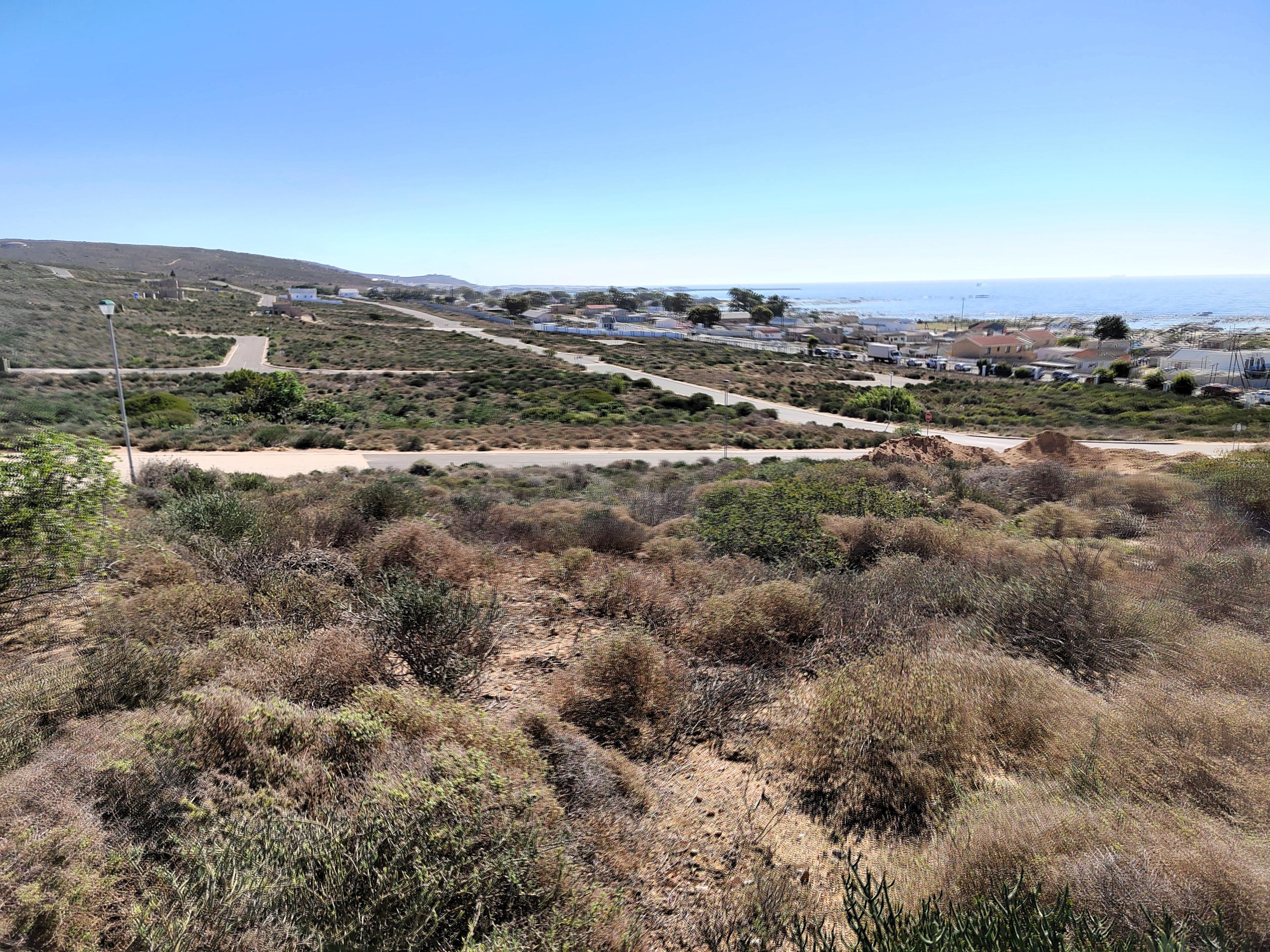 Image 10