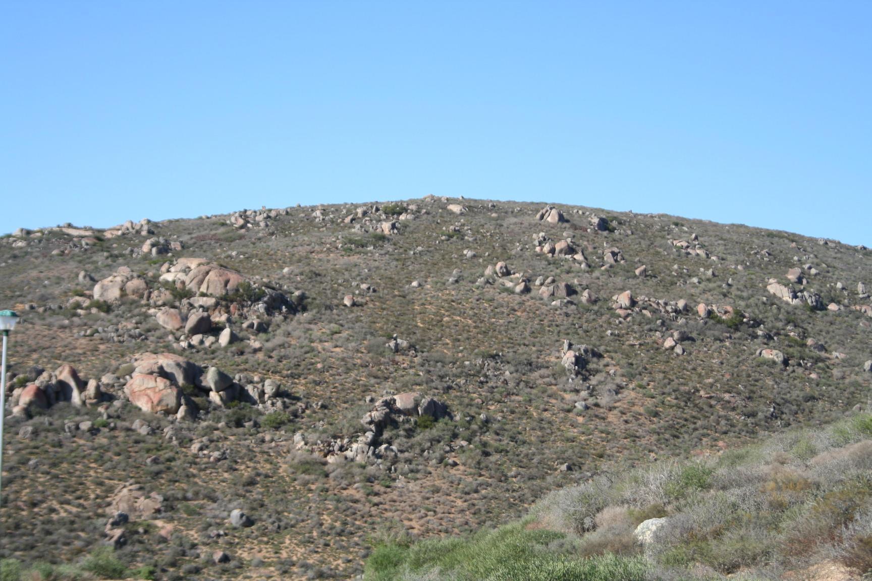 Image 13