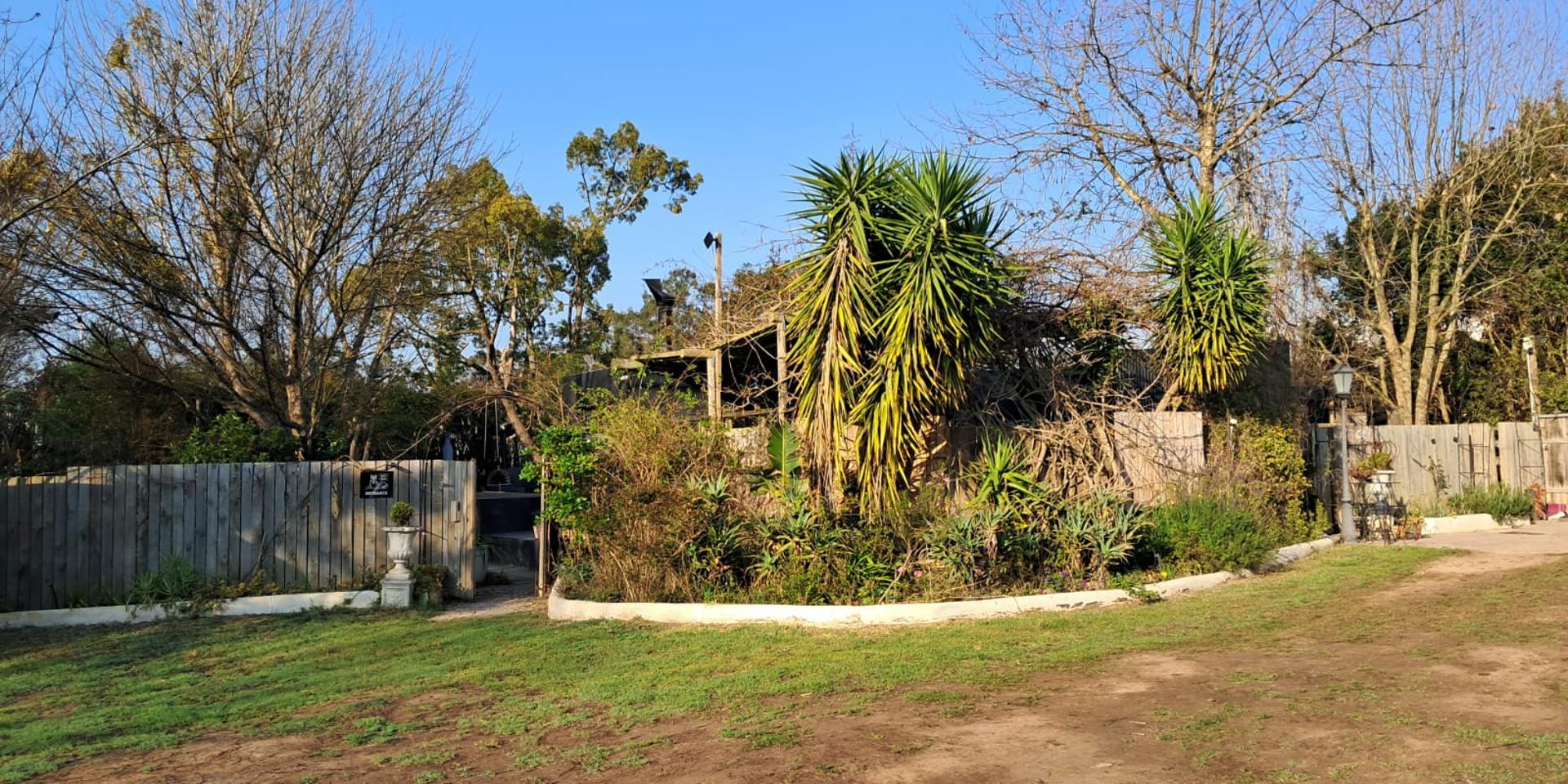 Image 2 of 6