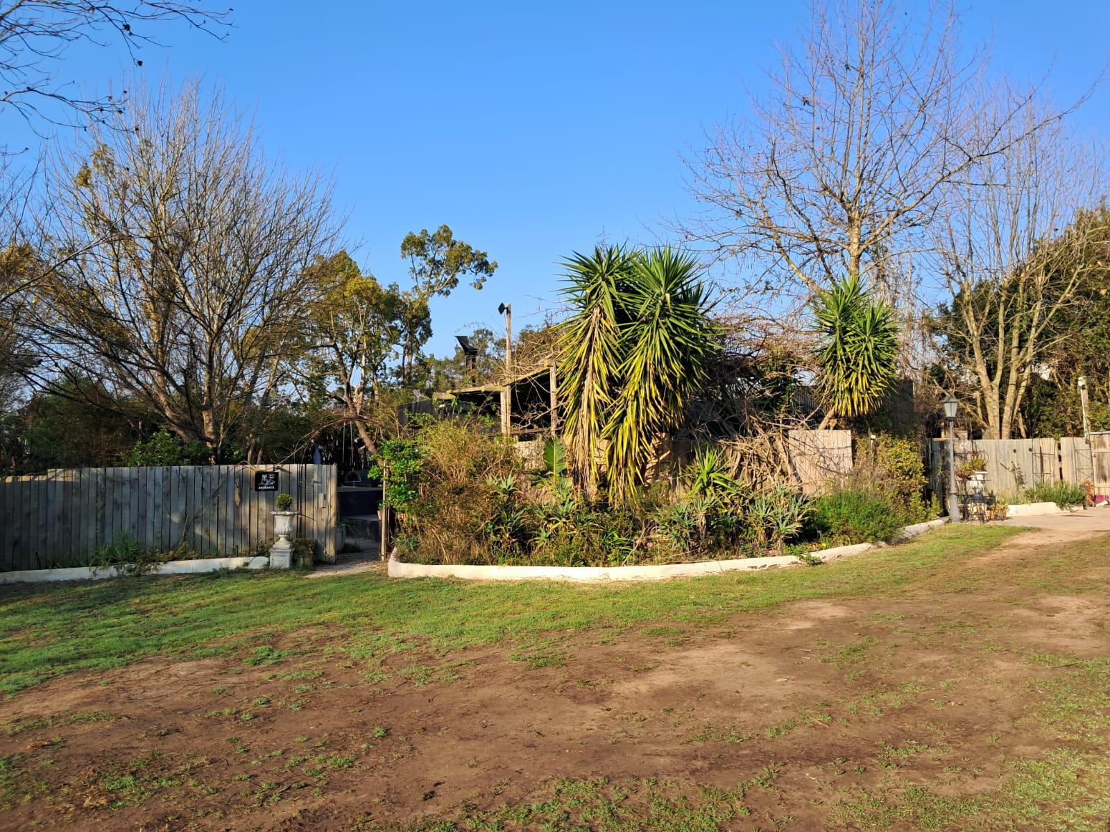 Image 5 of 6